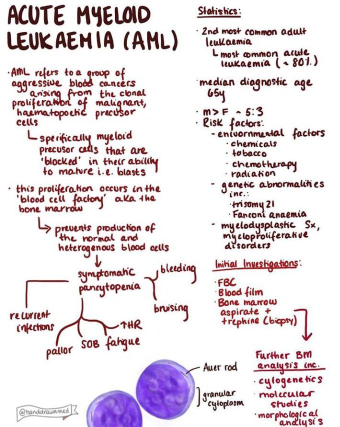 Acute myeloid leukemia