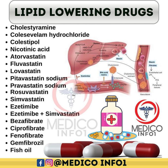 Lipid Lowering Drugs