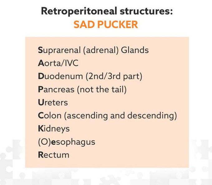 Retroperitoneal Structures