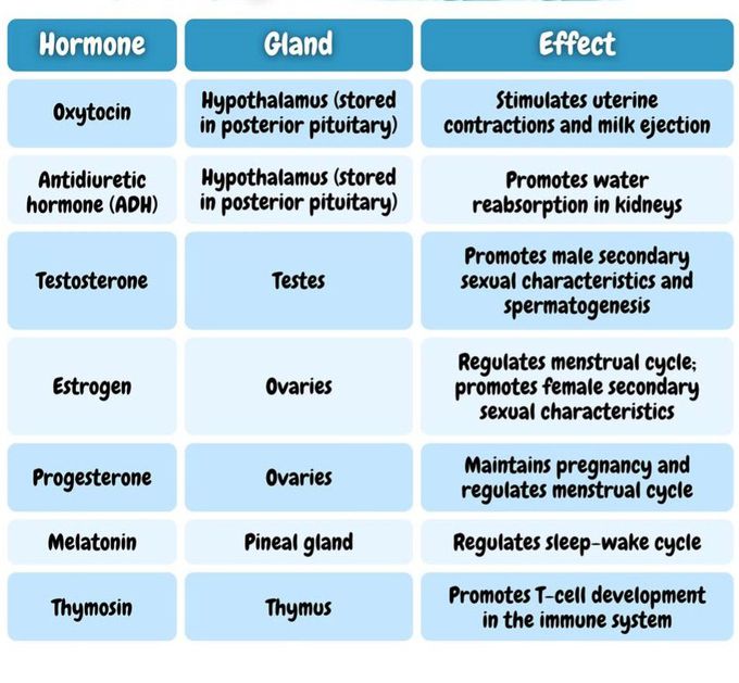 Major Hormones II