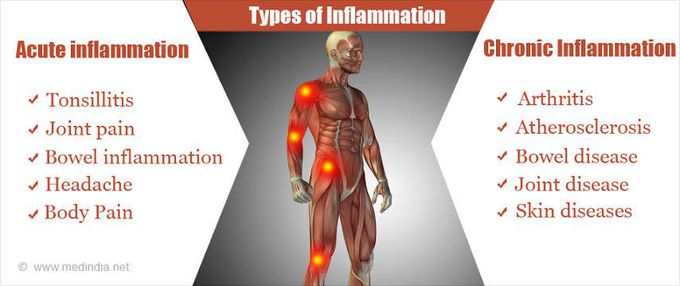 Acute Vs Chronic Inflammation