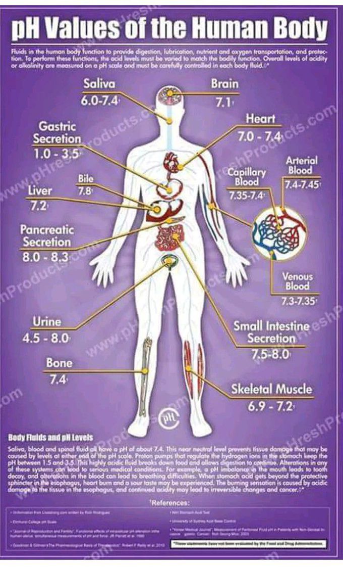 Body fluids and pH levels..