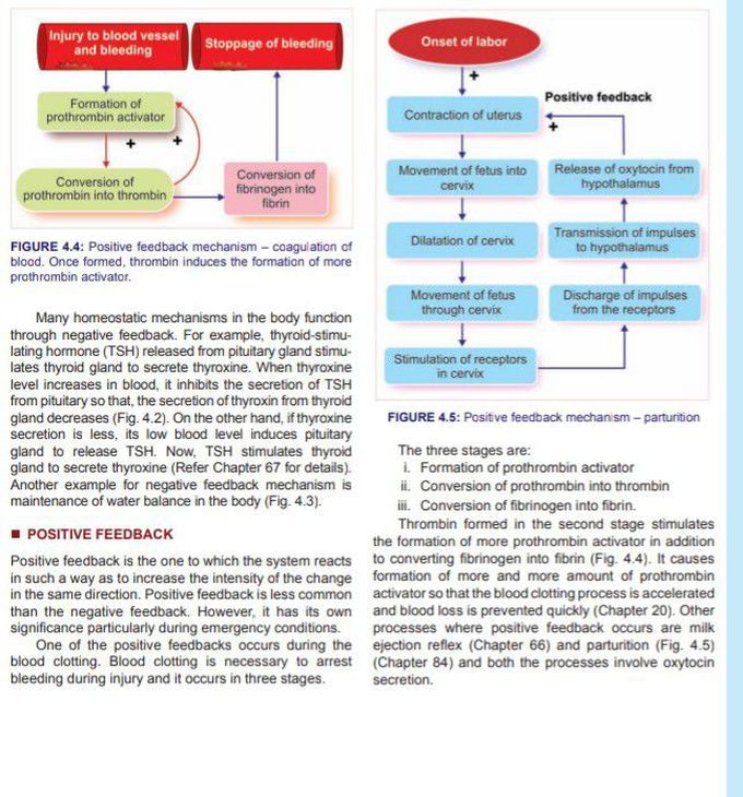 General Physiology