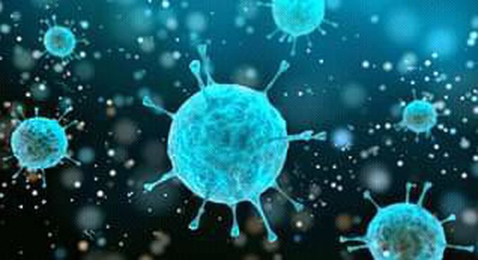SARS-CoV-2 Infection Cycle
SARS-Cov-2 is a novel coronavirus that causes an acute respiratory disease that is known as covid-19. This disease is now a pandemic affecting and threatening the global pandemic. This article covers the main steps in the SARS-C0V-2 infection cycle.

SARS-CoV-2 is an enveloped positive sense single stranded RNA virus. This virus belongs to a family of coronaviridae.

Learn more about these coronaviruses and coronavirus disease (COVID-19).

SARS-CoV-2 infection cycle

The SARS-CoV-2 infection cycle involves these steps:

Invasion
Replication
Direct cytopathic effects
Dysregulated immune response
Invasion

The angiotensin converting enzyme 2 has been identified as the binding site for SARS-CoV-2 virus. This enzyme is found on the surface epithelium of the human lungs and has a role in catalyzing the conversion of angiotensin II.

Here the spike glycoprotein is cleaved into S1 and S2 by a cell derived protease. The S1 glycoprotein binds to the angiotensin converting enzyme 2. The S2 glycoprotein is activated by the host Transmembrane serine protease known as TMPRSS2.

This activation results in membrane fusion which then enables the virion to enter the cells through endosomes.

Replication

Once the virus gains entry into the cell, its viral components are replicated via the use of viral enzymes like RNA polymerase. These enzymes are virally induced by endosomal viral RNA release.

While the SARS-CoV-2 virion is in the human cell it hijacks the host machinery so as to transcribe, replicate and translate its RNA genome and structural proteins before reassembly and encapsulation and release of the virions from the infected human cell.

The 5’ two thirds of the viral genome encodes polyproteins PP1a and PP1ab These two polyproteins are known as replicases.

These replicases PP1a and PP1ab are cleaved by 3C- like protease known as 3CLPro and a parpain-like protease (PLPro) into sixteen non-structural proteins. The important of these non-structural protein are an RNA dependent RNA polymerase (RdRp) forming a replication complex.

This replication complex carries out the transcription of full-length negative strand.

The 3’ end of the viral genome then encodes four structural proteins known as spike protein (S) envelope (E) protein, nucleocapsid (N) protein and matrix/membrane (M) protein together with set of accessory proteins.

When transcription and replication of viral RNA genome and accessory proteins is over, there is trafficking of the newly synthesized viral protein from the endoplasmic reticulum to the golgi apparatus then the assembly of mature virions in a budding vessicle follows. Lastly the mature virion os released via exocytosis process.