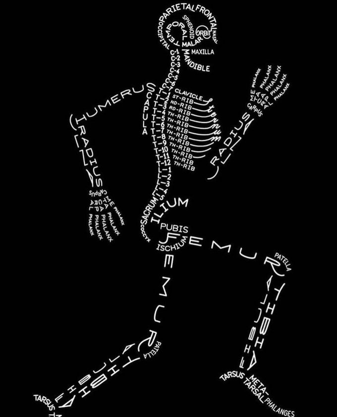 Gotta loves those bones!