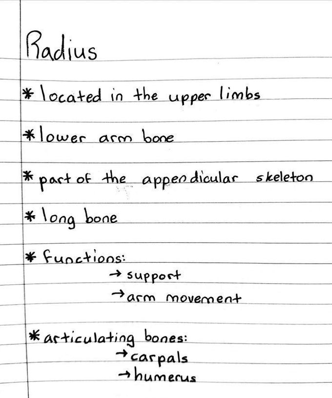 Radius