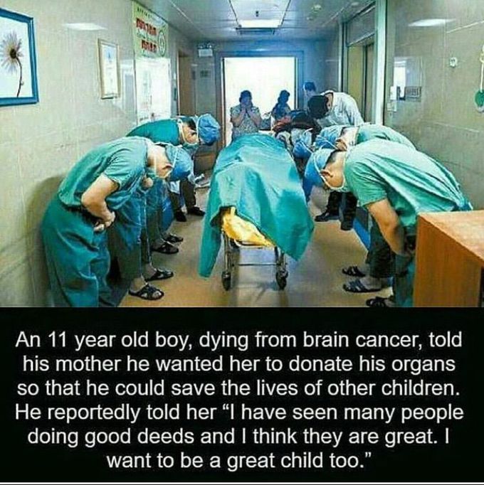 RESPECT DOCTORS