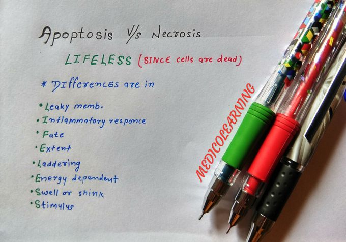Apoptosis v/s Necrosis