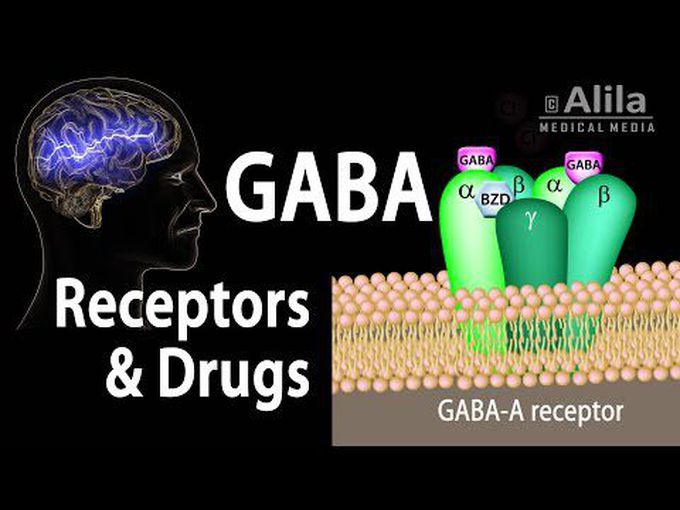 GABA-Animation video