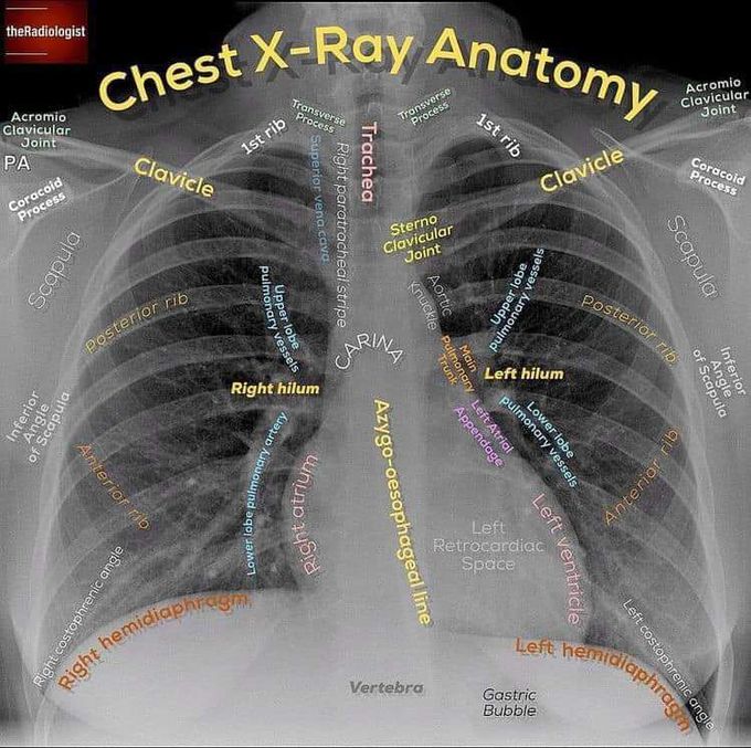 Best way demonstrarion to learn