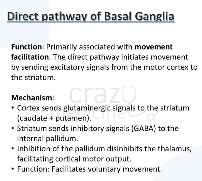 Basal Ganglia IV