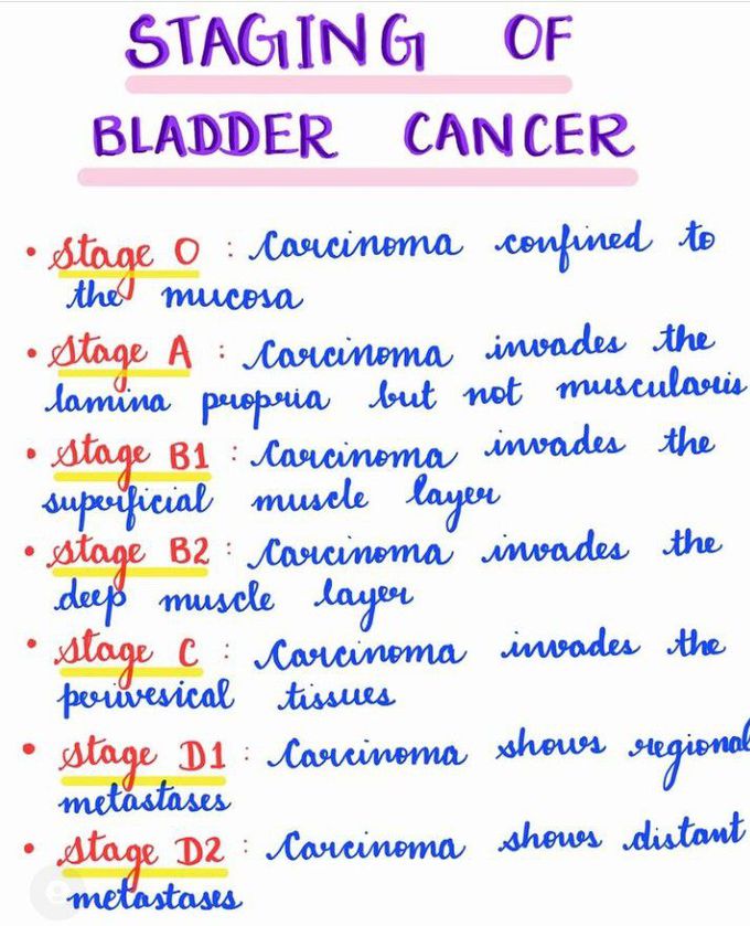 Staging of bladder cancer