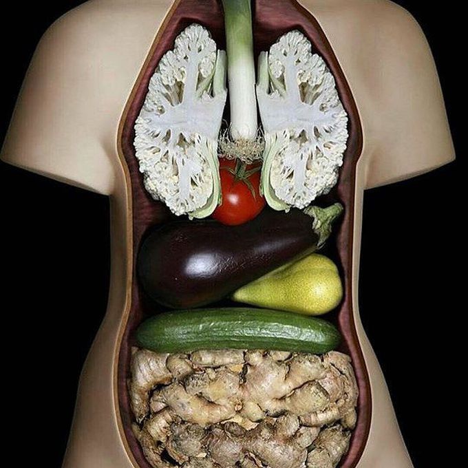 Art & Anatomy