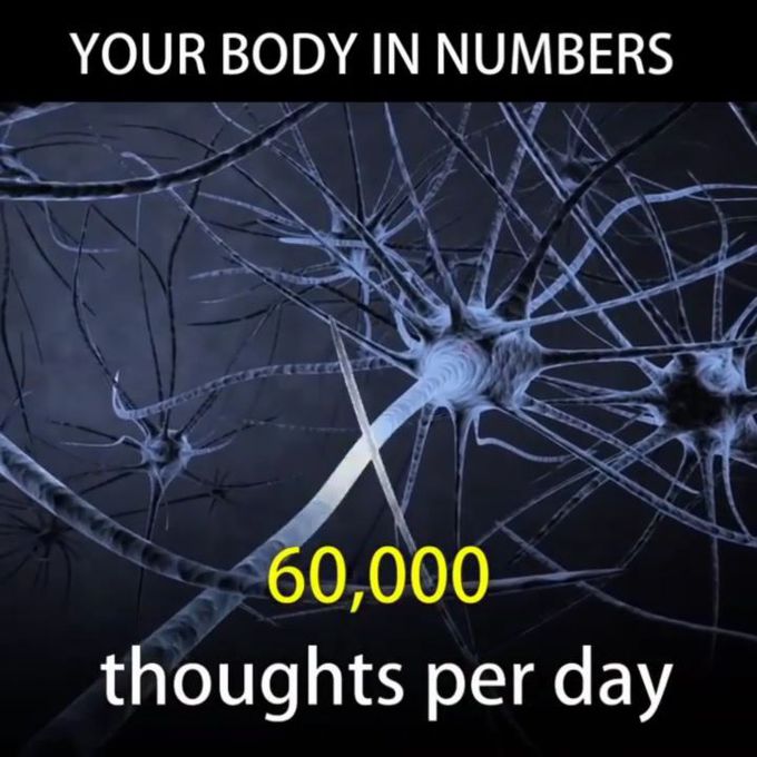 Nervous system