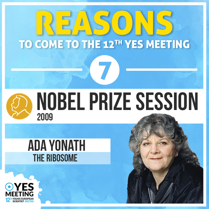 TOP REASONS TO ATTEND THE 12TH YES MEETING