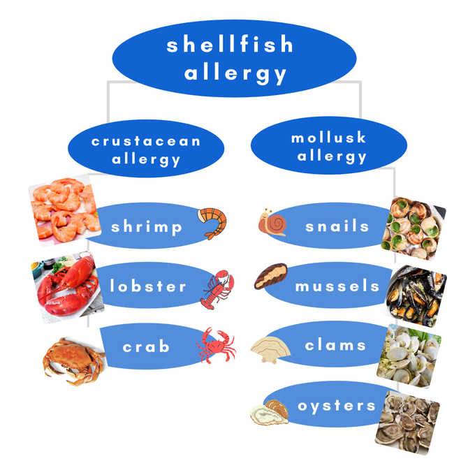 shellfish allergy