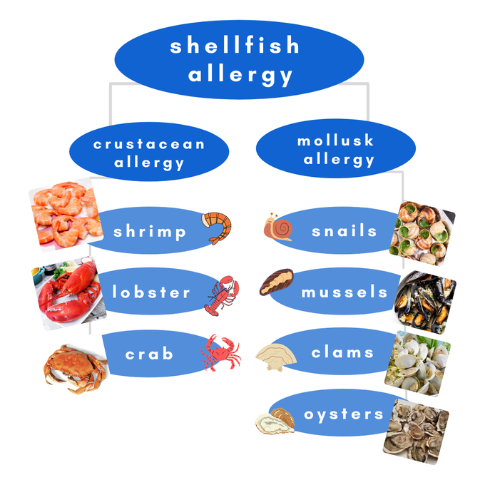 shellfish allergy MEDizzy