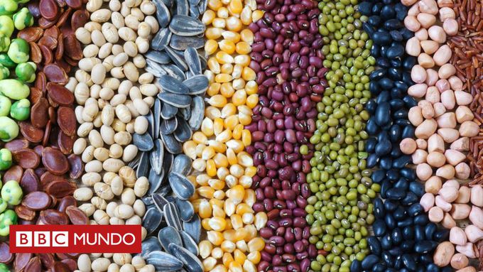 3 tipos de alimentos que ayudan a controlar el apetito