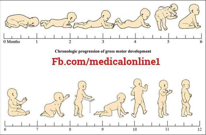 Gross motor Development
