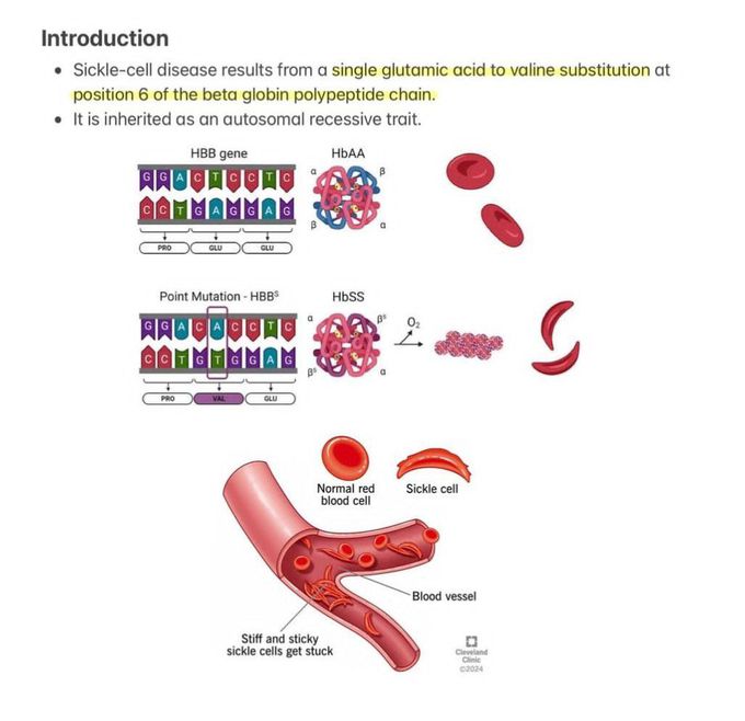 Sickle Cell Disease I