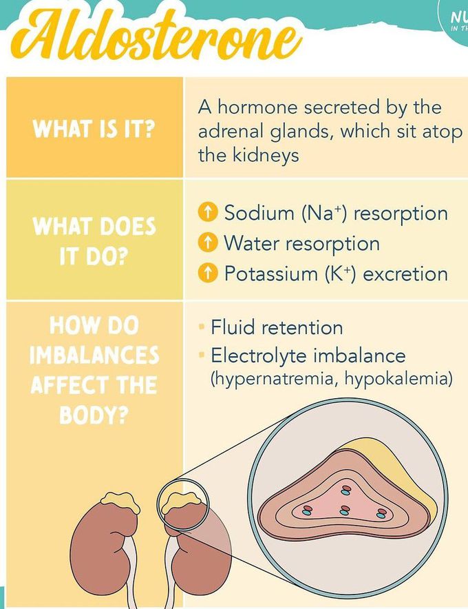 Aldosterone