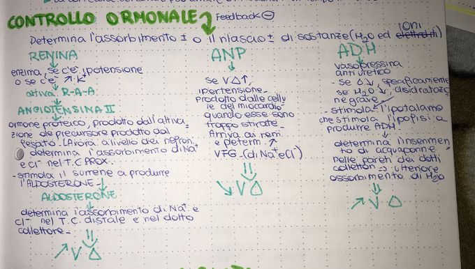 Controllo ormonale renale