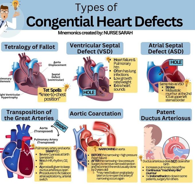 Types of Congenital Heart Defects