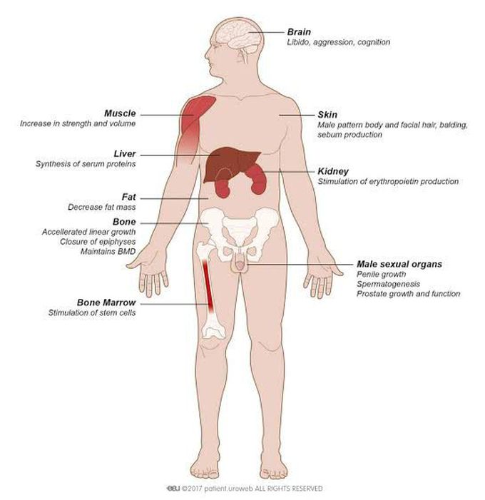 symptoms of male hypogonadism