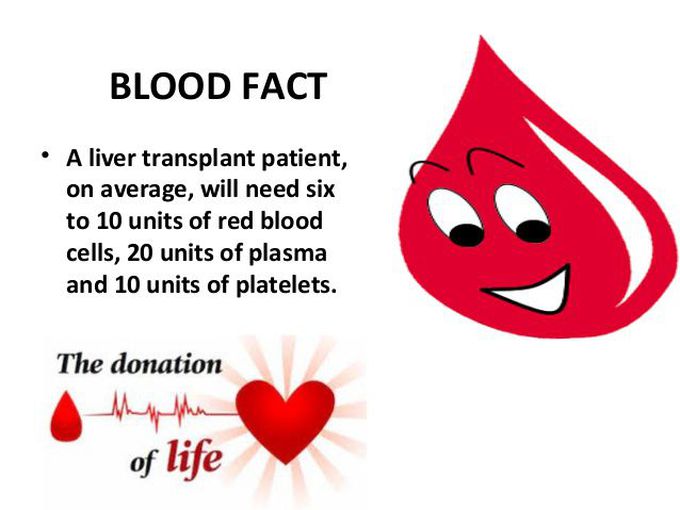 Blood fact