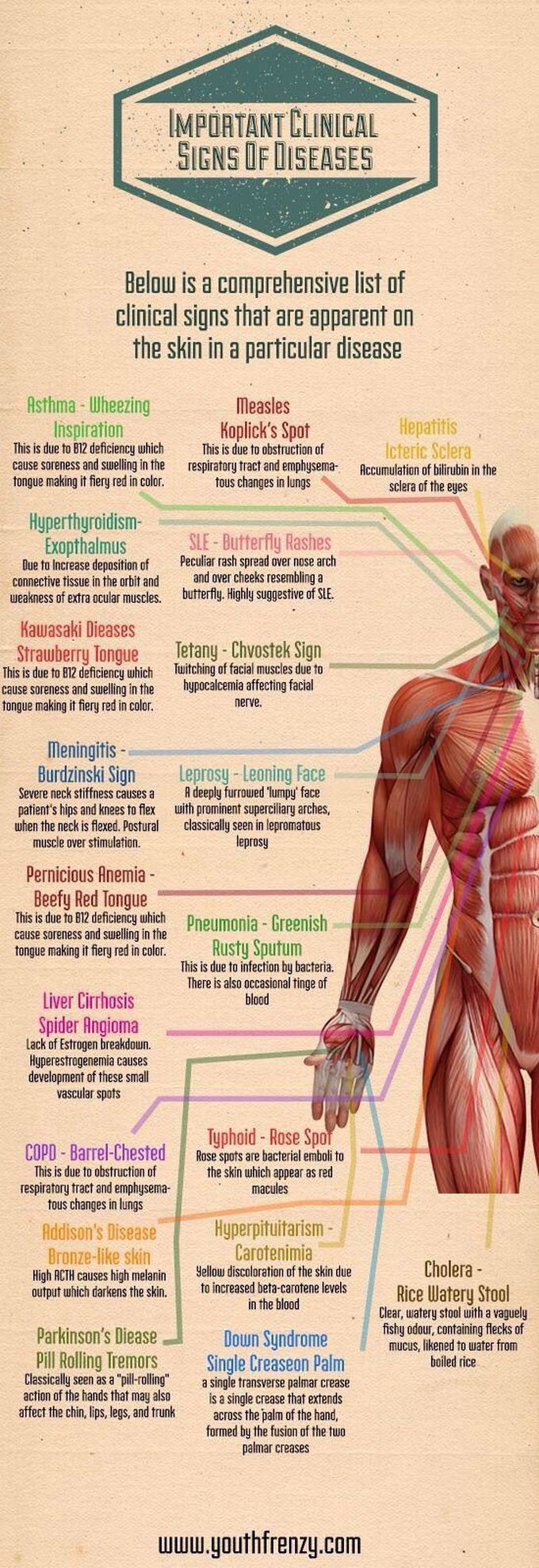 Important clinical signs of diseases