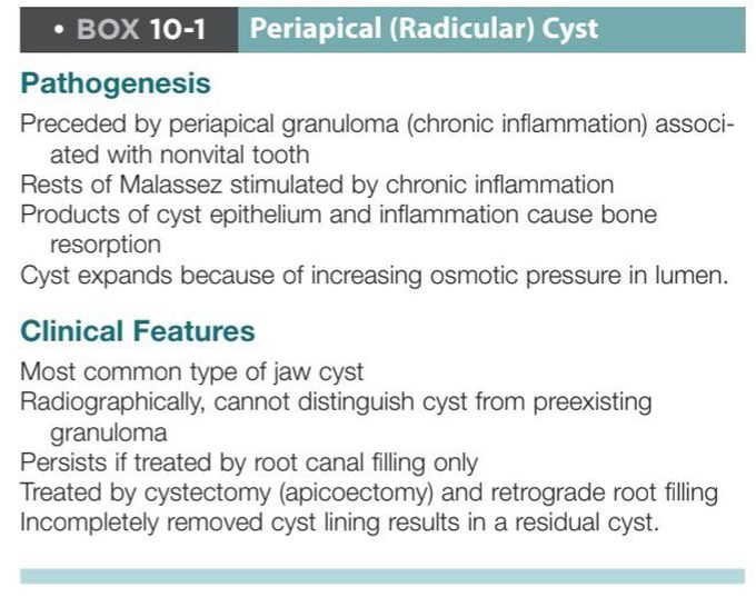 Periapical cyst