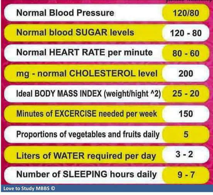 Important Information About Human Body