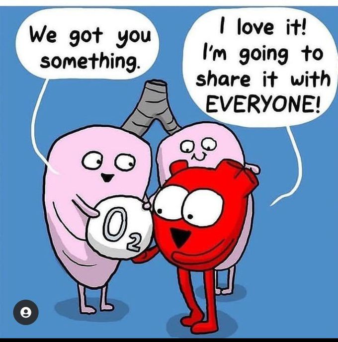 Lungs to Heart💓