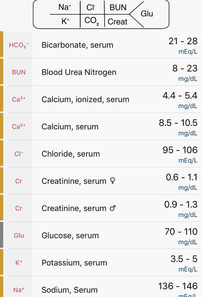 Basic metabolic panel