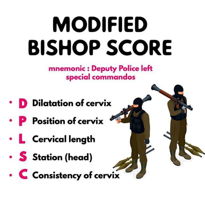 Modified Bishop Score