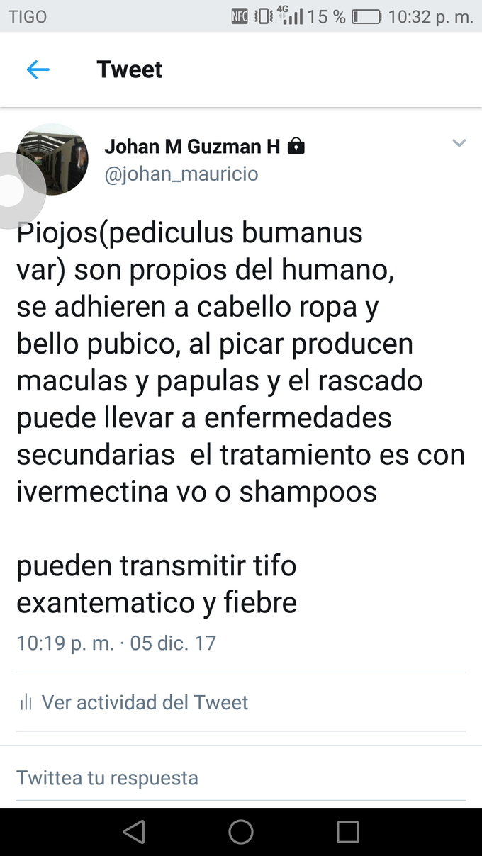 Lice