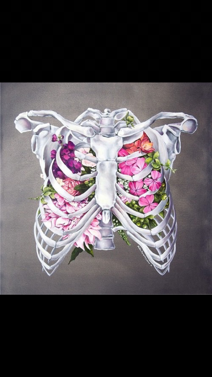 Pulmones - lung