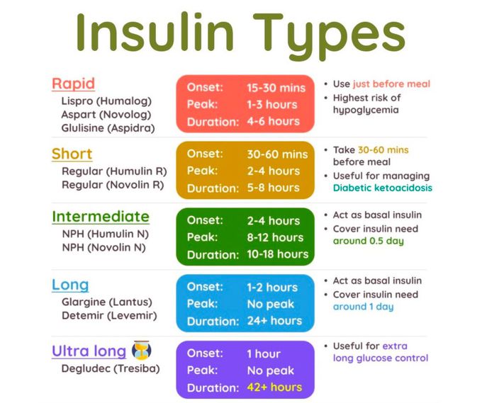 insulin therapy