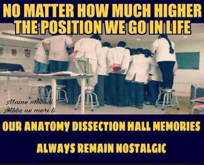 Anat dissection