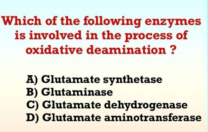 Identify the Enzymes