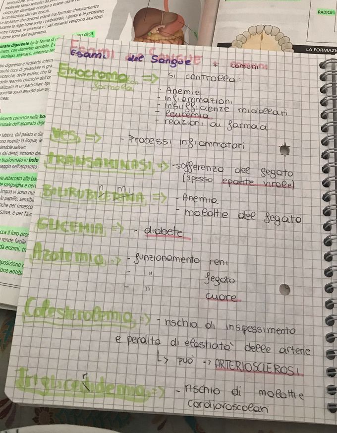 Esami del sangue più comuni