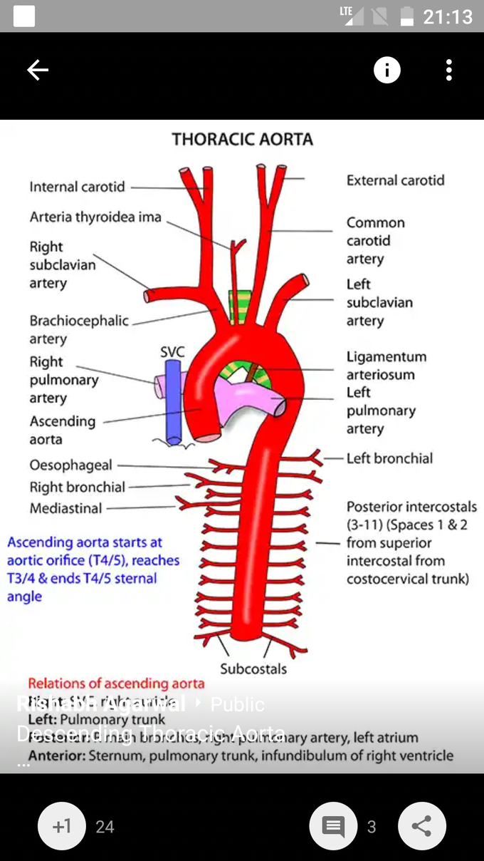 Artery location