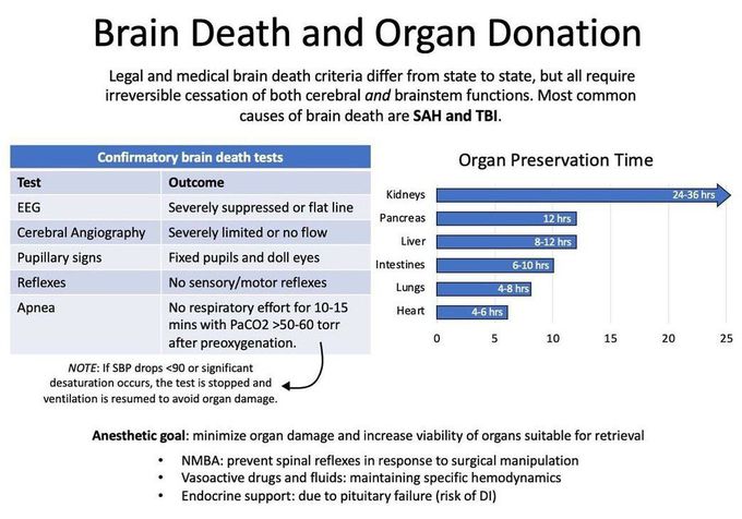 Brain Dead and Organ Donation
