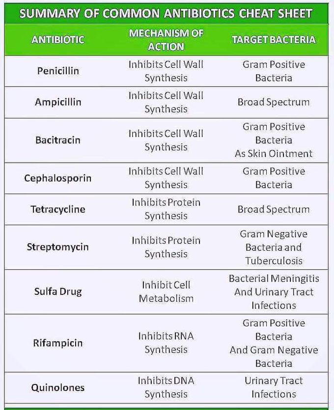 Antibiotic cheat sheets