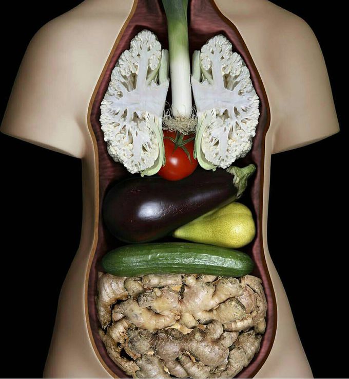 Impressive model shows human viscera modeled with vegetables