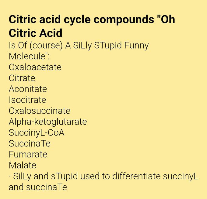 Medical mnemonic 🌼