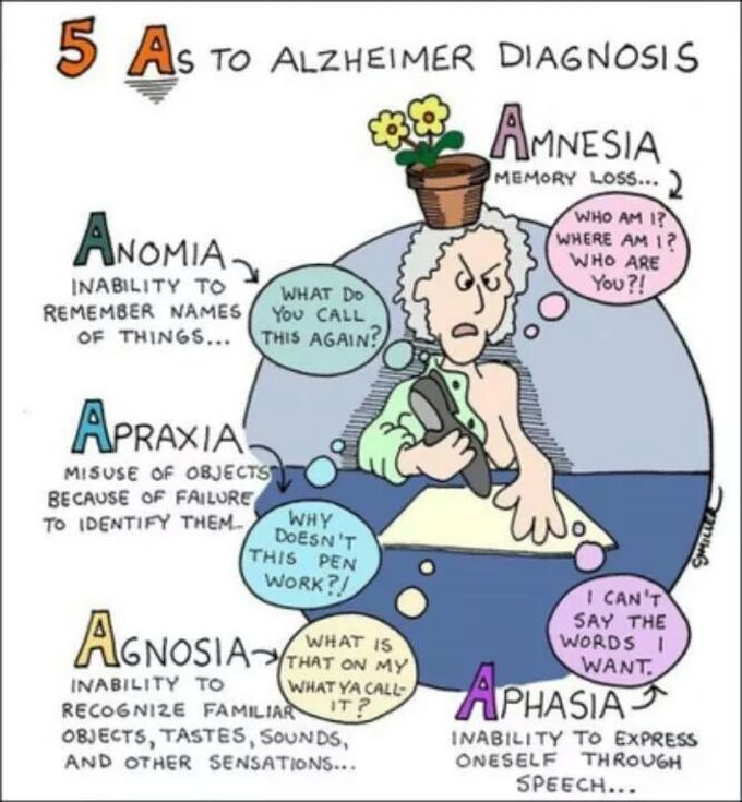 Alzimer disease