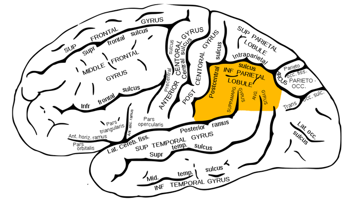 Gerstmann Syndrome