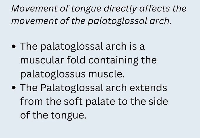 Palatoglossal Arch