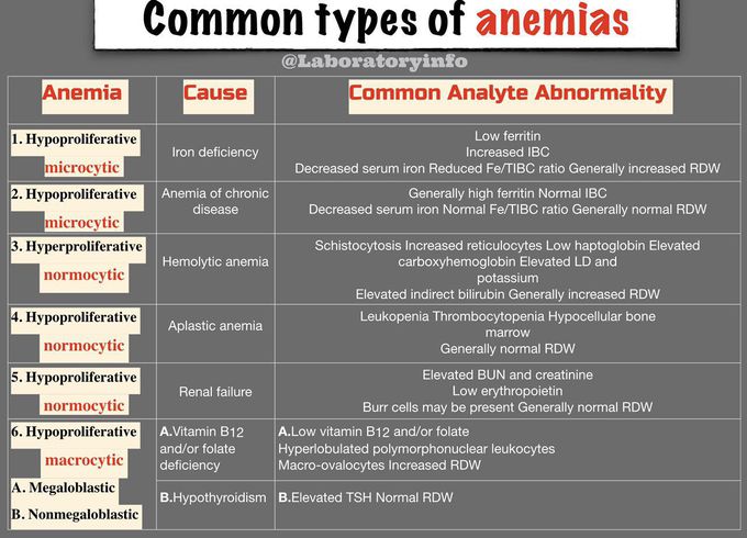 Differentiating Anemias Chart 8759